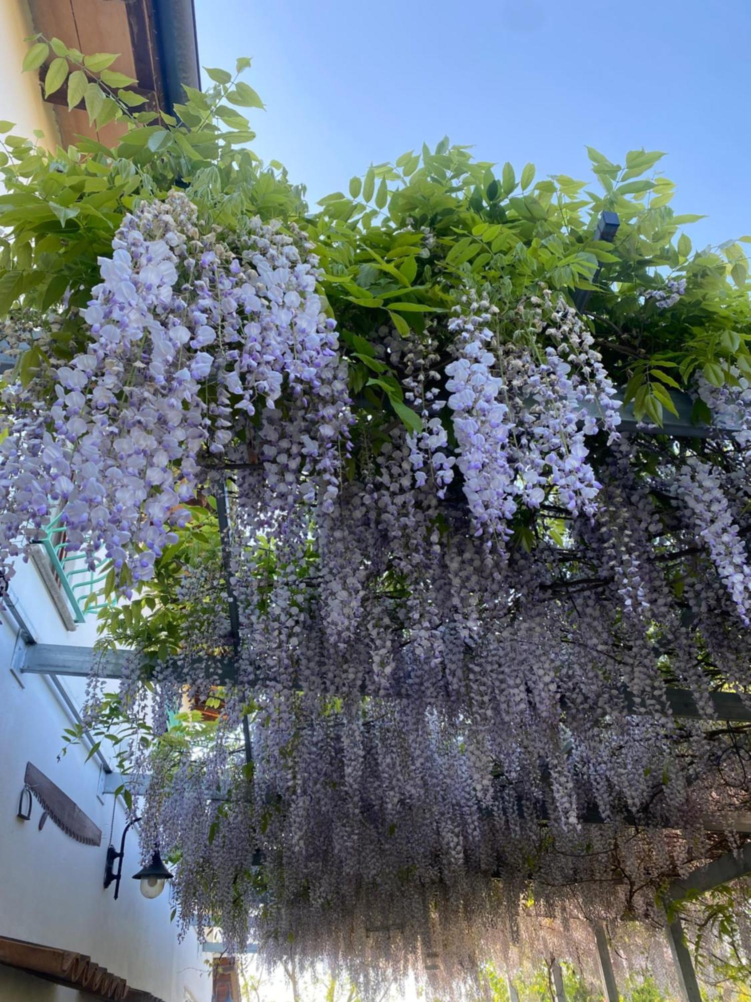 La Locanda Del Tevere Fiano Romano Εξωτερικό φωτογραφία