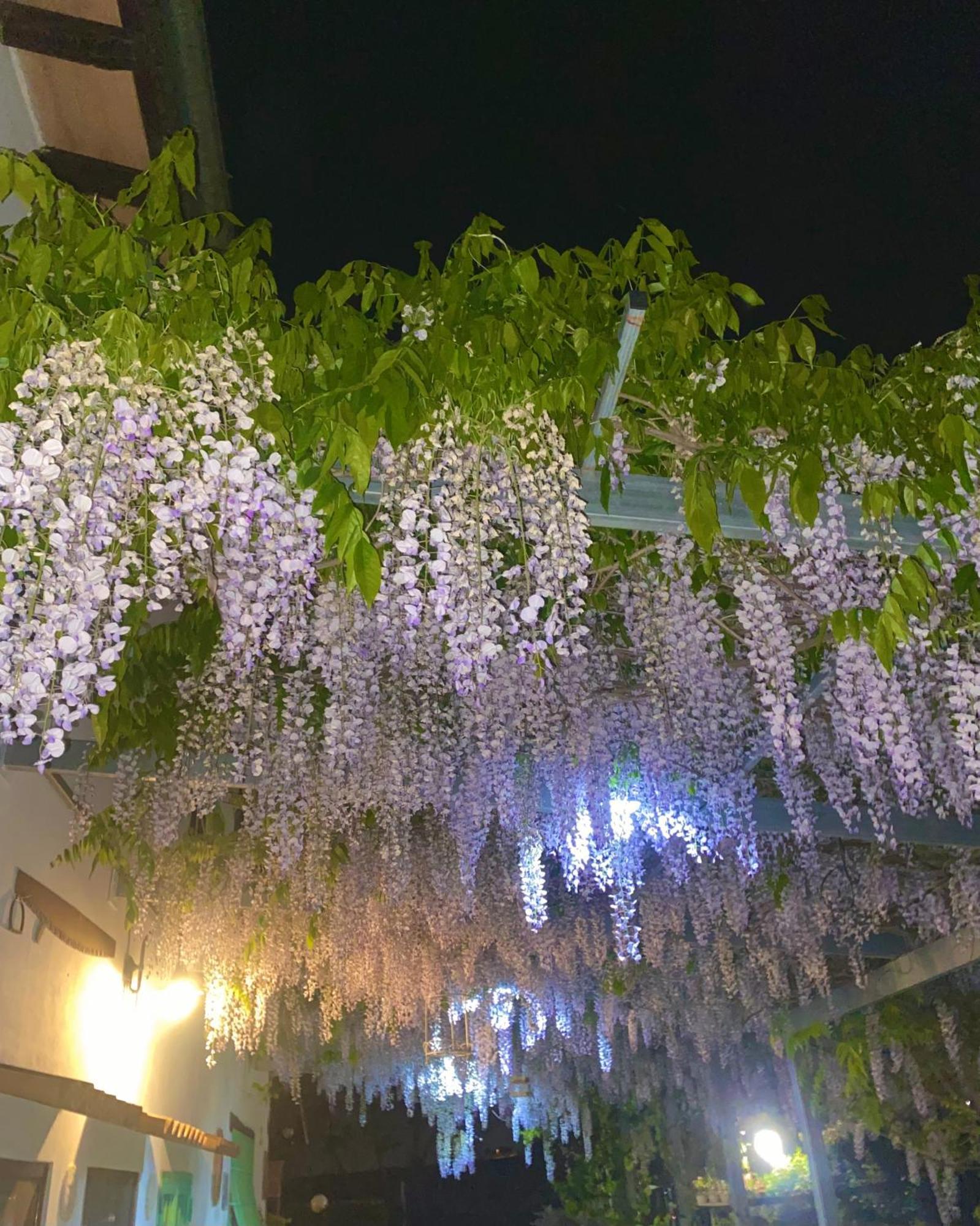 La Locanda Del Tevere Fiano Romano Εξωτερικό φωτογραφία